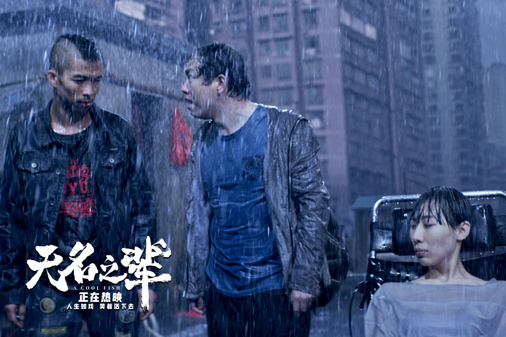 剧照