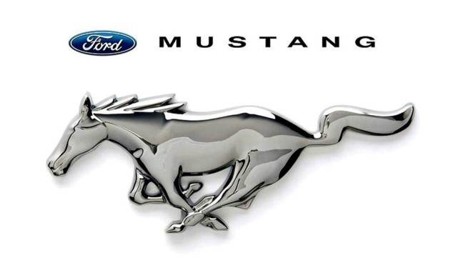 mustang翻译