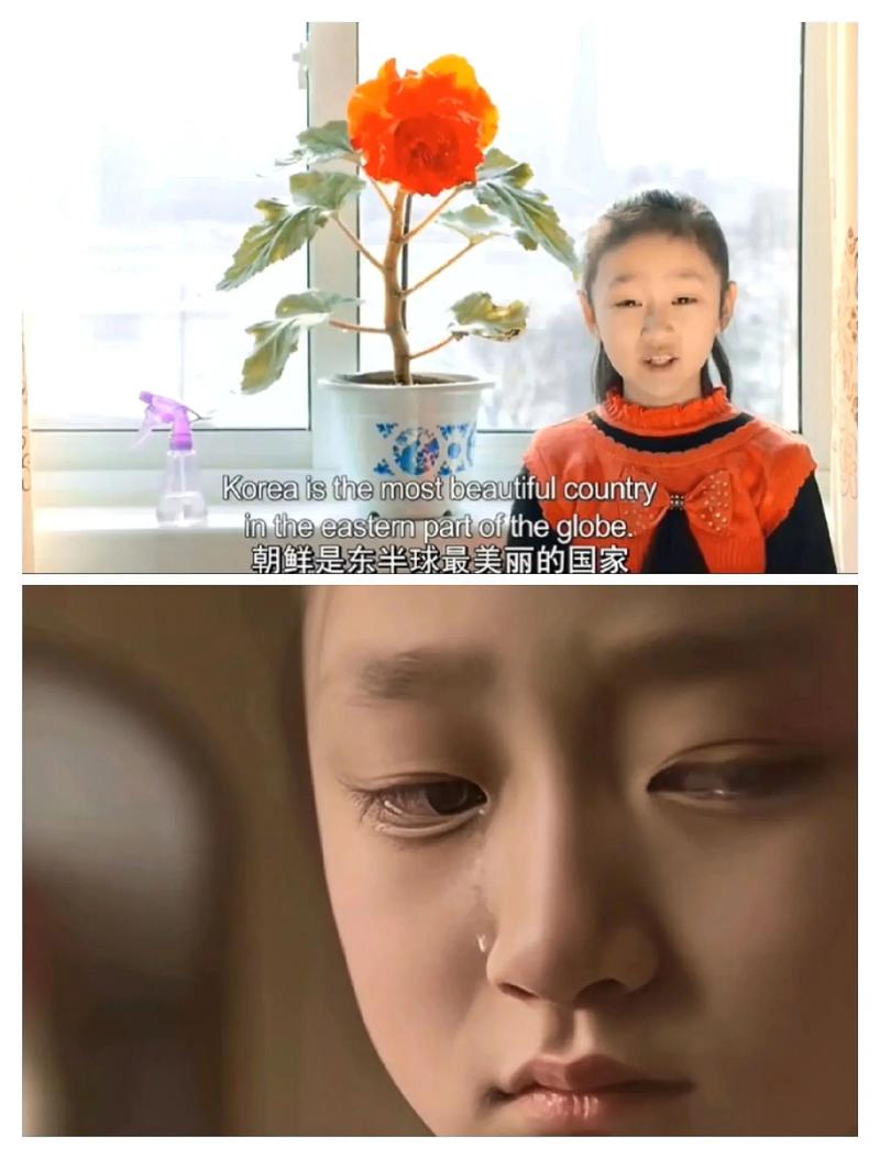 同创娱乐网址