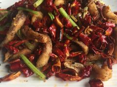 孕妇可以吃辣椒炒肉吗