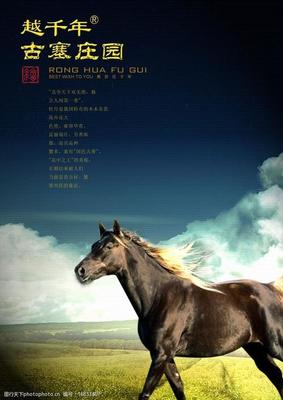 骏字五行