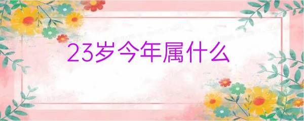 二十三岁属什么生肖