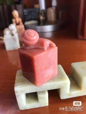 捡到蜗牛有什么寓意