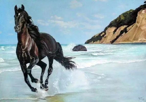 horse的词源故事