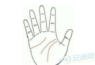 生辰八字查贵人