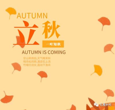 今年立秋是几月几号