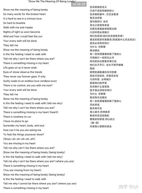 lonelynights歌词翻译