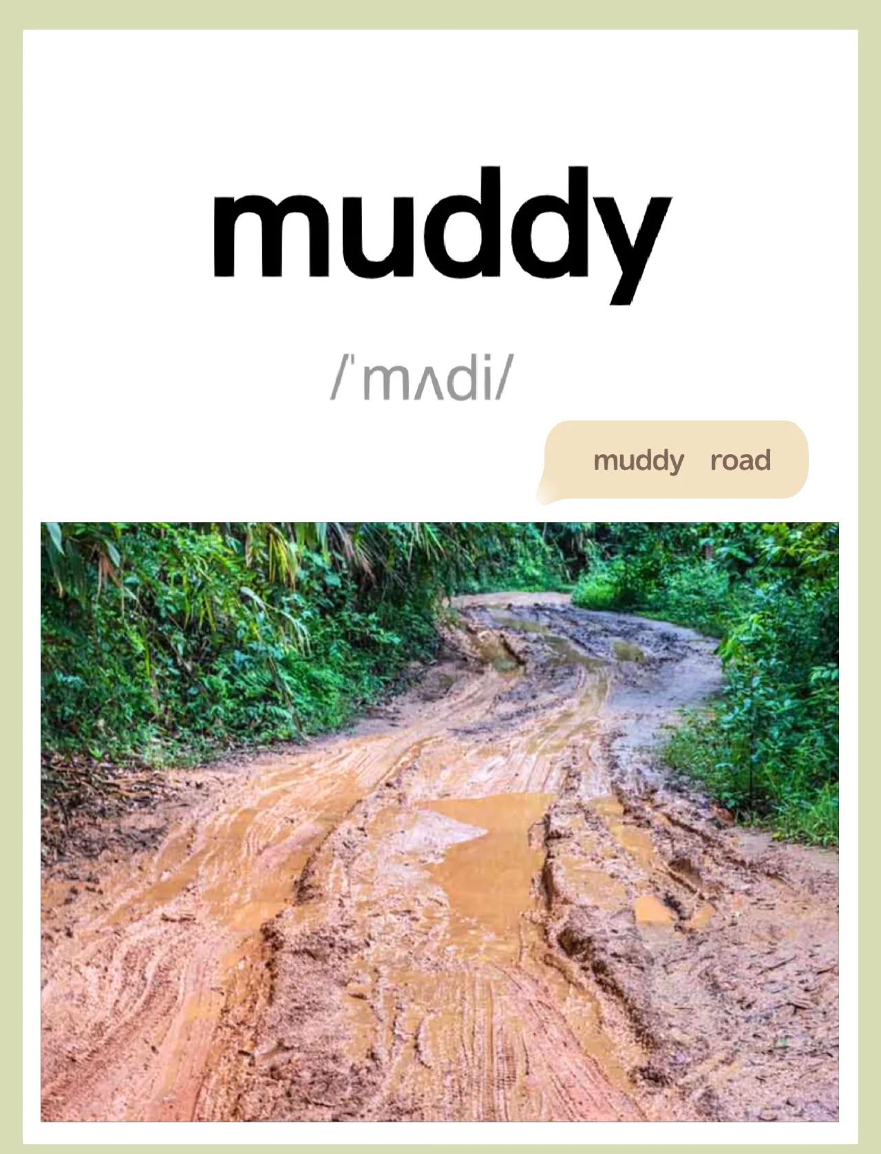 muddy反义词