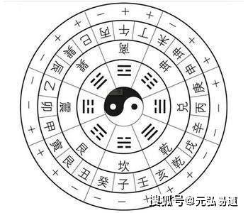八字酉代表什么