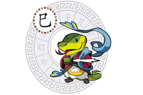 专心致志最佳生肖动物