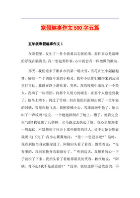 寒假趣事作文500字