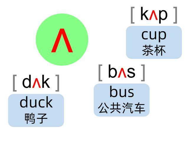 duck的音标和读法