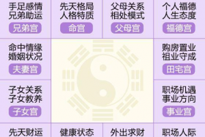 八字 命宫