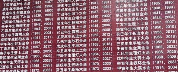 91年五行属什么命