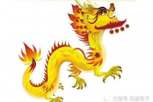 属龙和属鼠的相配吗