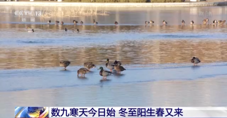 2016年九九寒天怎么算