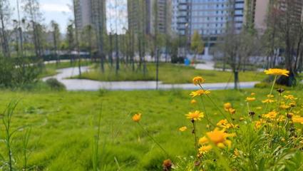 周口滨河公园
