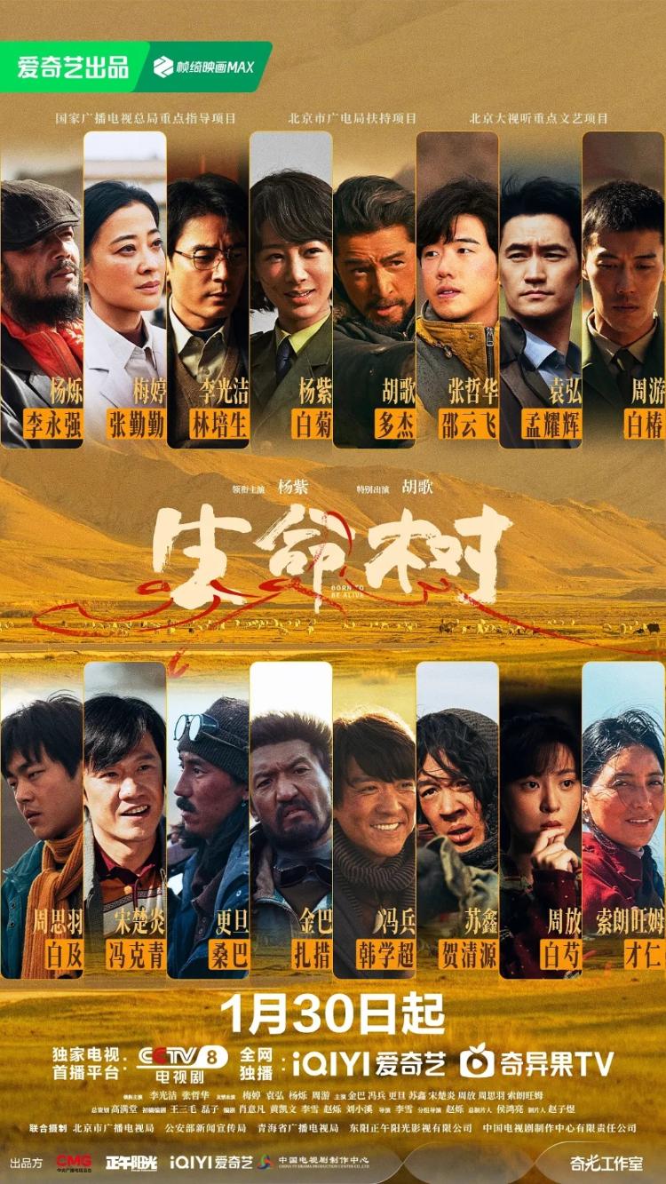 12BET官网手机版客户端