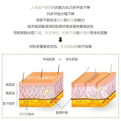 玻尿酸学名