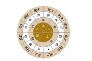 仲的五行