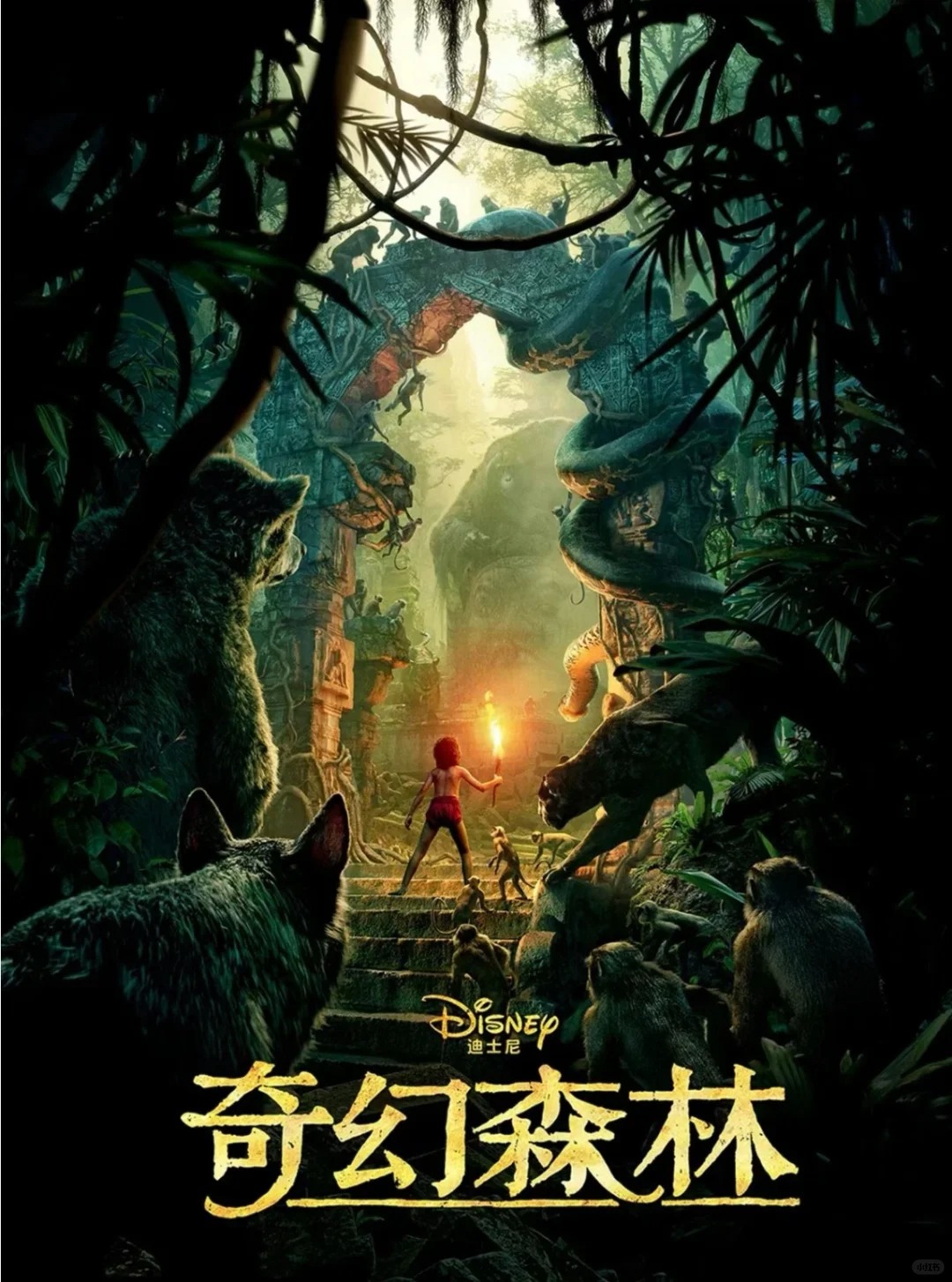 资讯配图